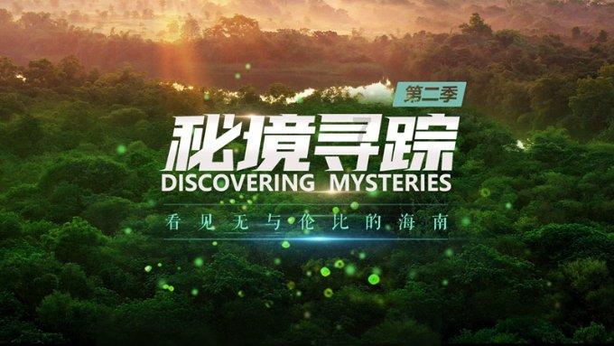 二甲灭草松对水稻分蘖有影响吗？