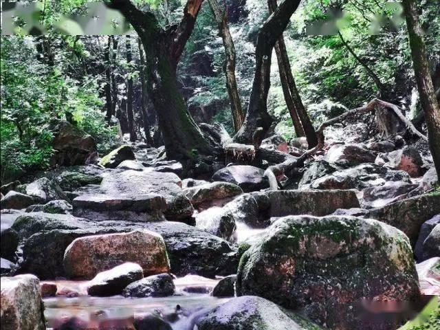 蝙蝠侠：阿甘之城